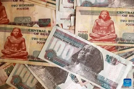 أسعار الفائدة في مصر