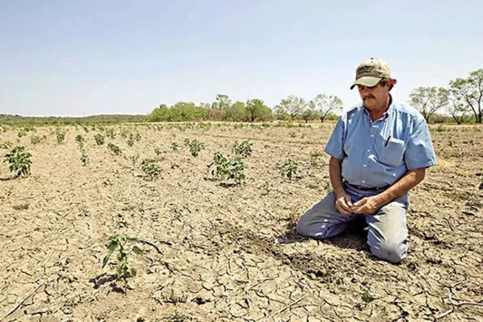 تحلية مياه البحر في الجزائر بين الأمن المائي والاقتصادي