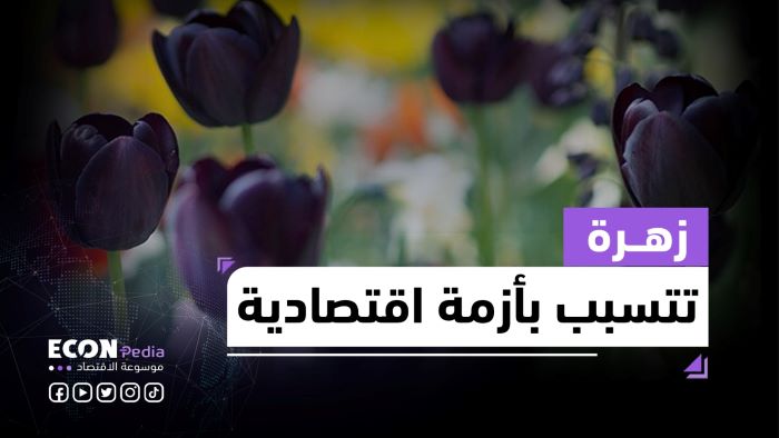 جنون التوليب.. زهرة تسببت بأول أزمة اقتصادية بالعالم