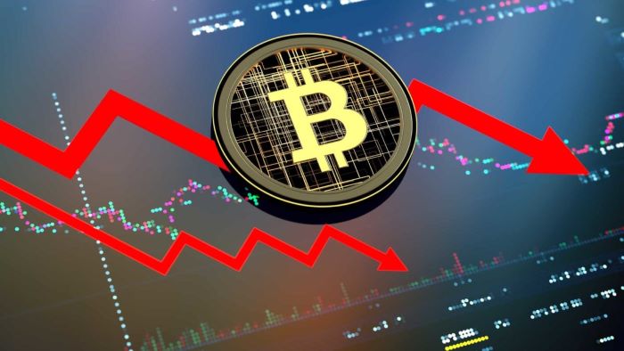 البيتكوين في 2024: تراجع الأسعار والتحديات الاقتصادية