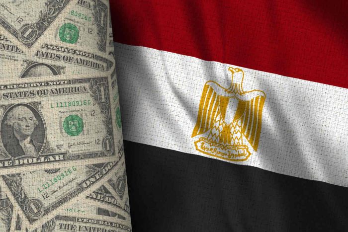 السيسي: سنراجع اتفاق صندوق النقد إذا أضر بالمواطنين